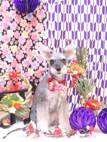 20250121むぎちゃん